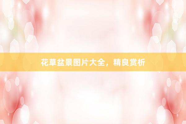 花草盆景图片大全，精良赏析