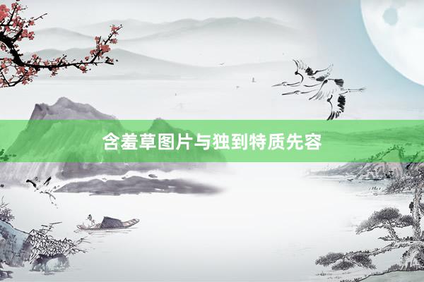 含羞草图片与独到特质先容